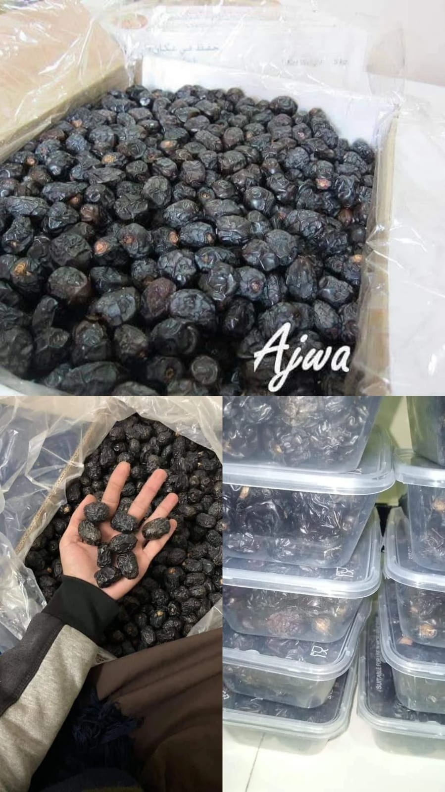 Ajwa Khajoor (Dates) – Premium Quality from Makkah &amp; Madinah